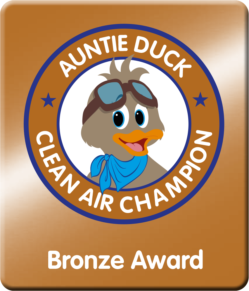 Auntie Duck Bronze Award